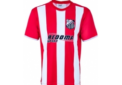 Camiseta Esportiva Ref:394